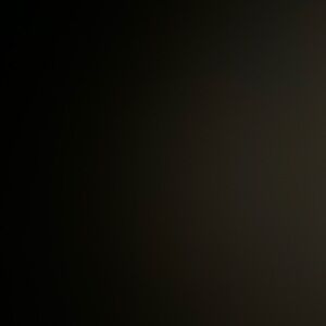 Meet your Posher, Sia